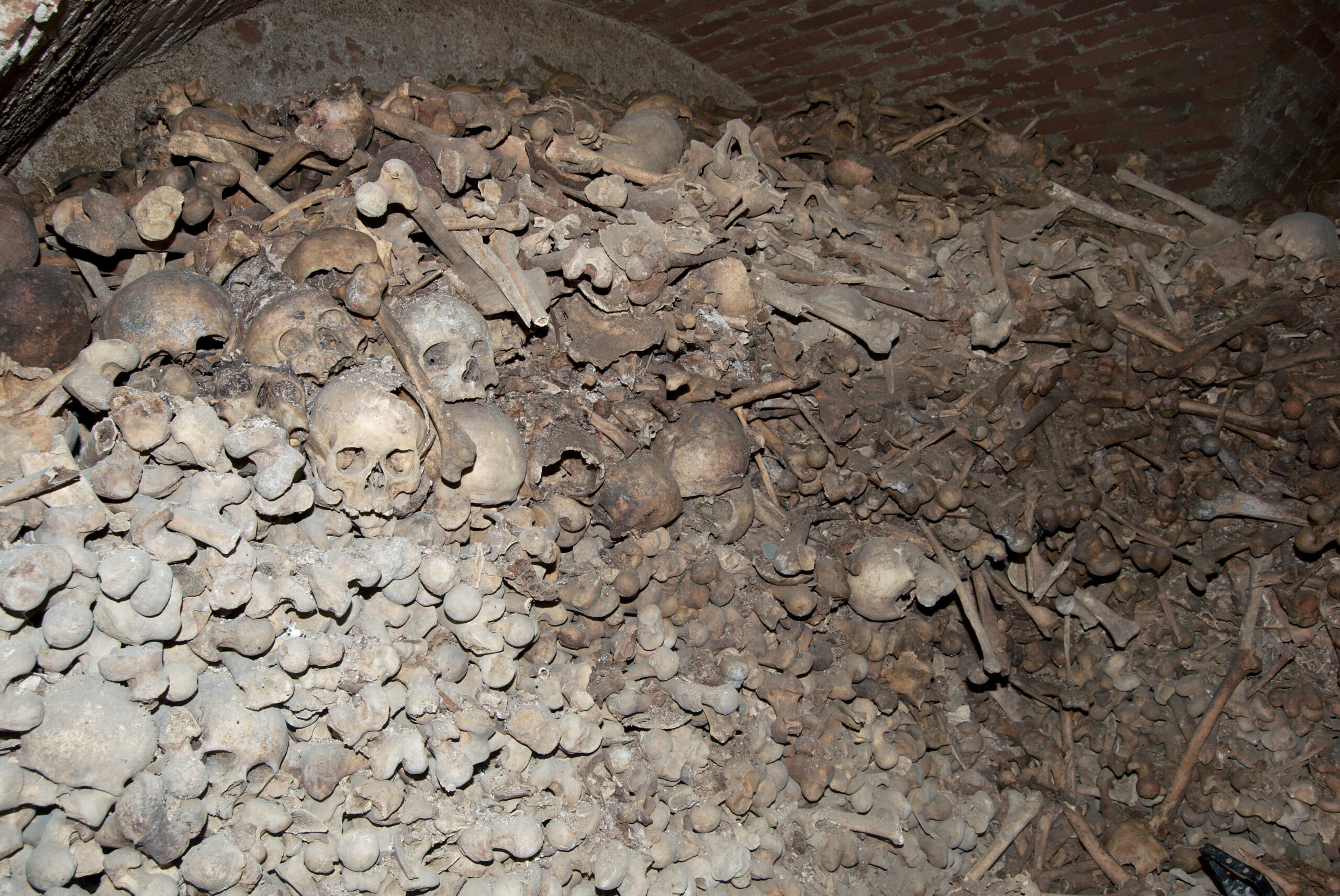 Pod brněnskou dlažbou leží 50 000 mrtvých. A skoro nikdo o nich neví.